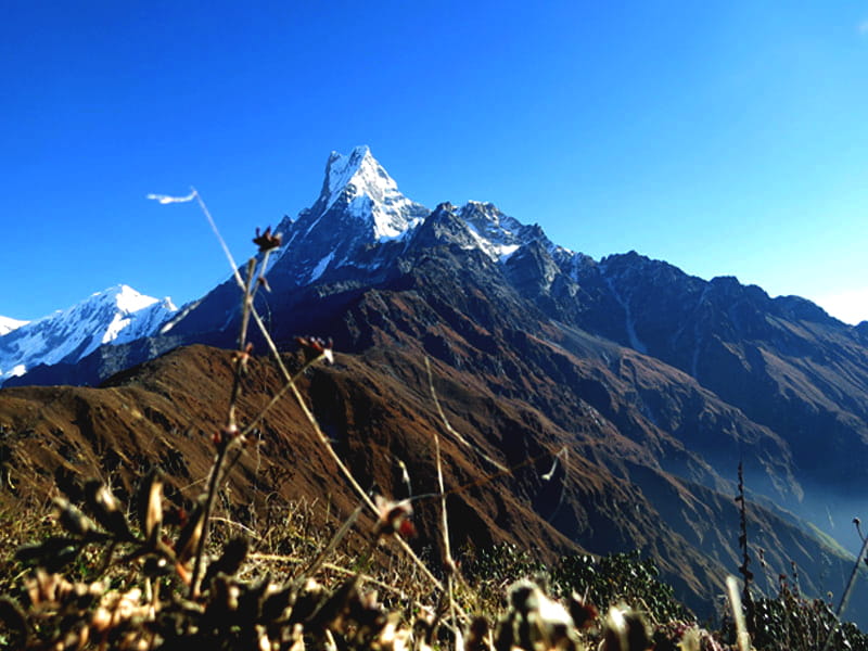 Mardi Himal Trek